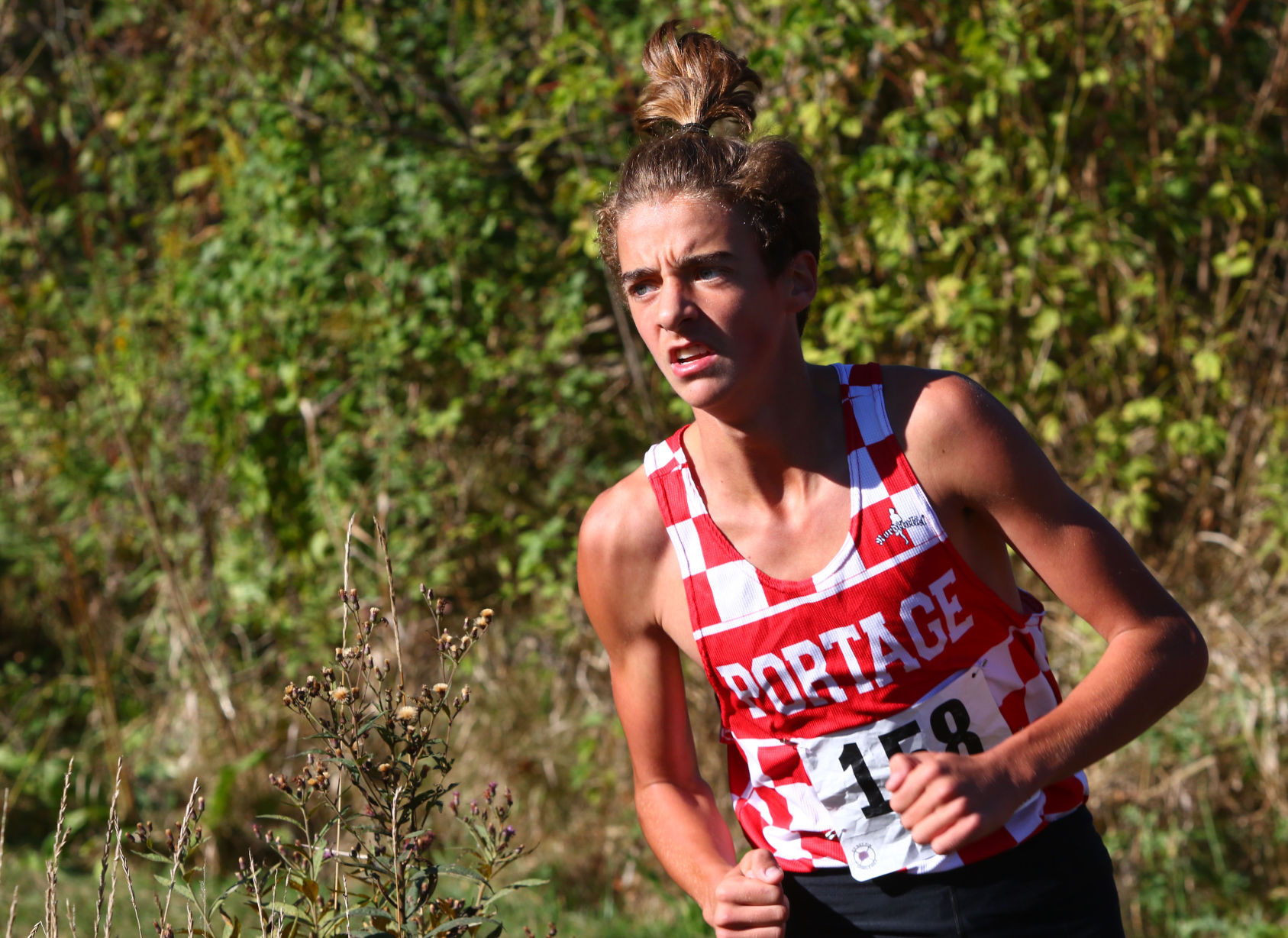 Gallery: Duneland Athletic Conference cross country meet